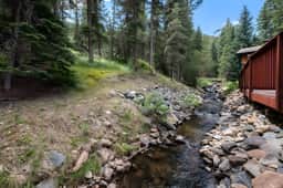 The Tranquil Stream